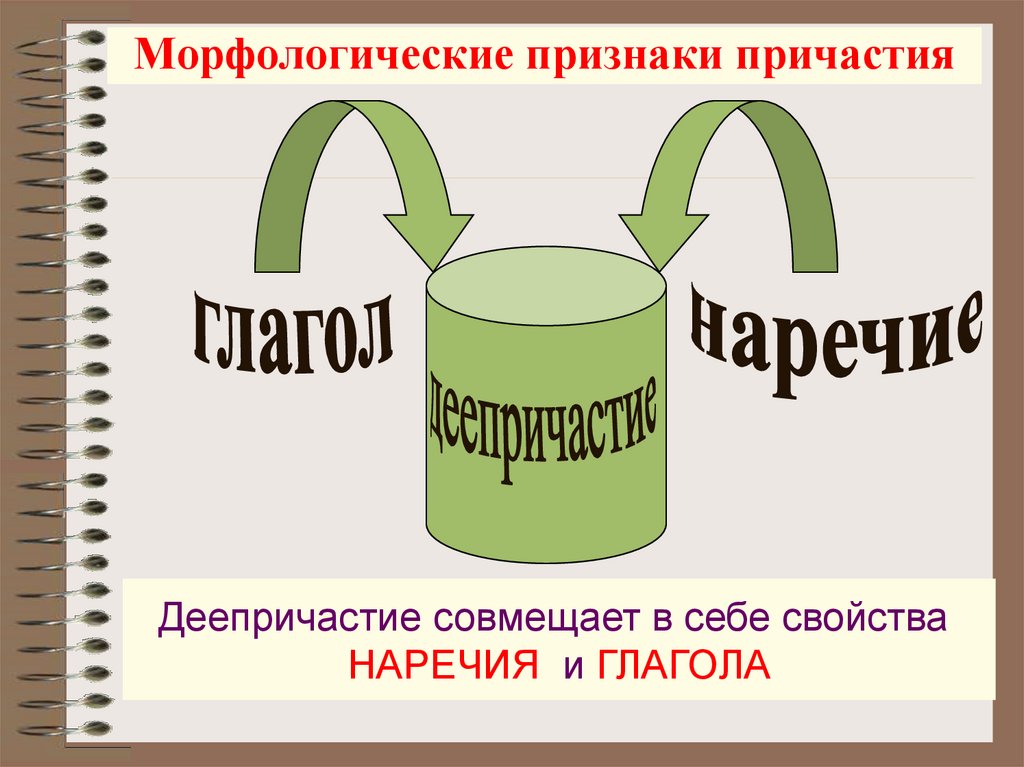 В деепричастии совмещены признаки