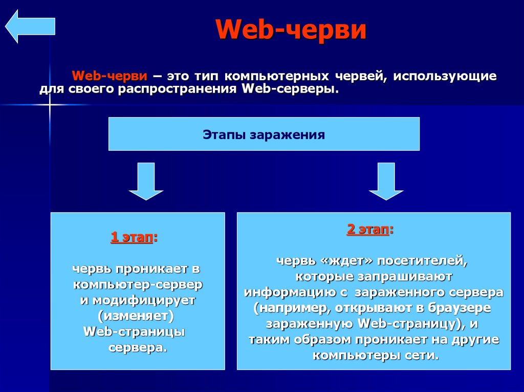 Виды сетевых червей