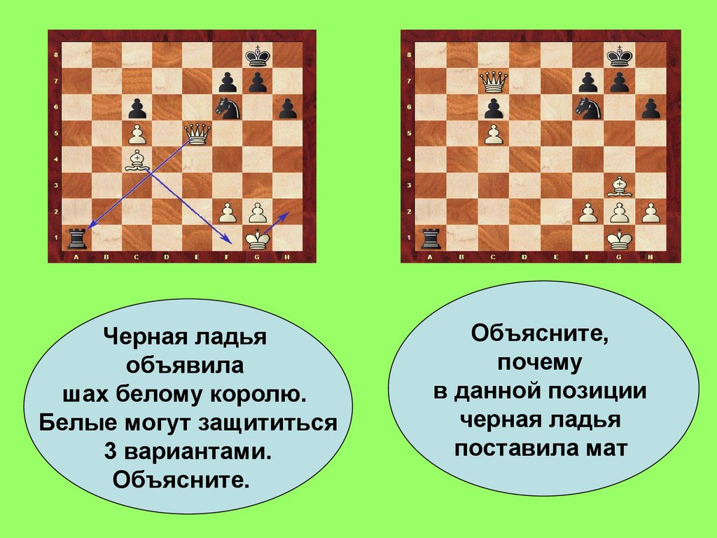 Рубит ли король в шахматах. Мат ладьей и королем одинокому королю. Шахматы-задания Шах или не Шах. Ладья королю в шахматах мат и Шах. Позиция мат в шахматах.