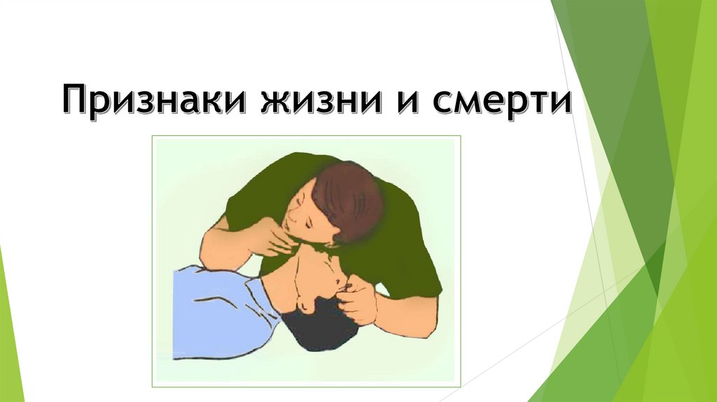 Перечислите признаки жизни