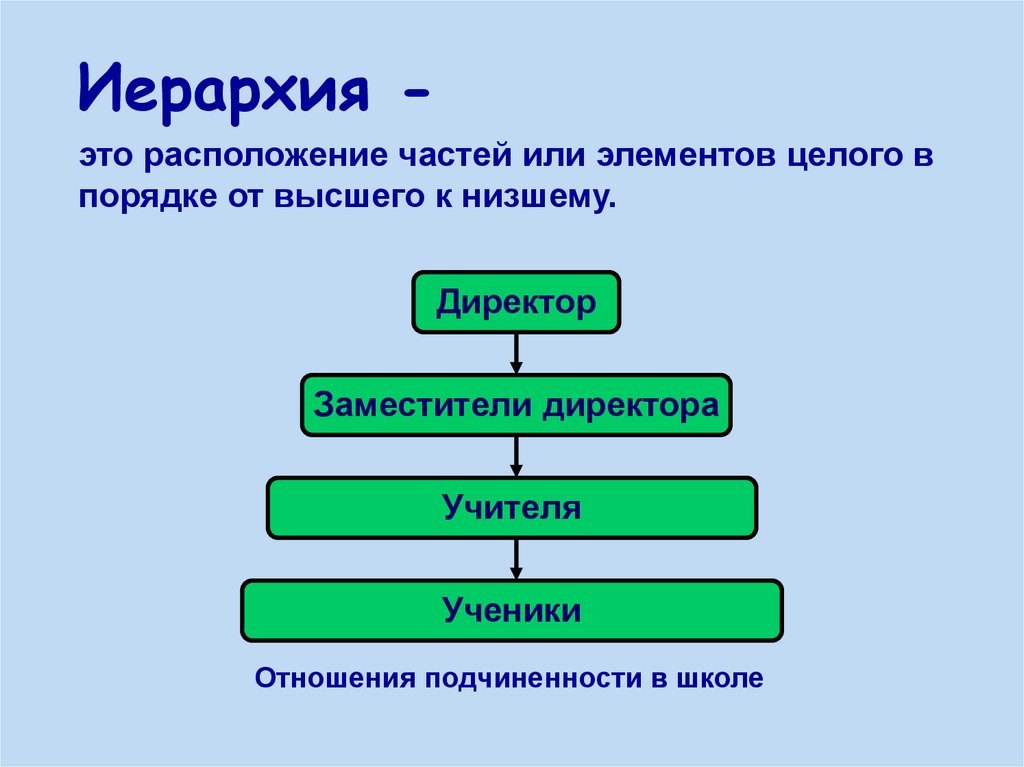 Иерархия в биологии схема