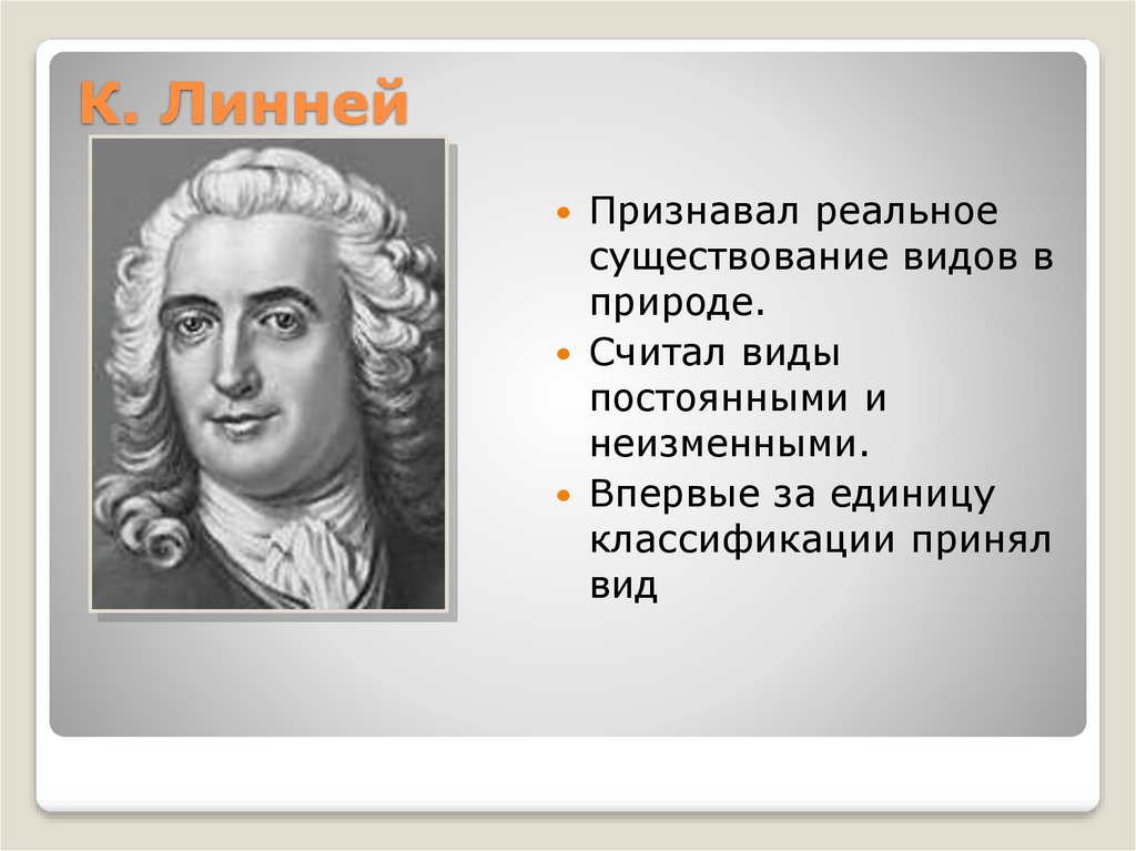 Вид считать. Карл Линней вид. Карл Линней существование вида. Синквейн Карл Линней. Карл Линней считал.