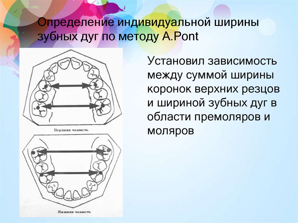 Нижняя зубная дуга