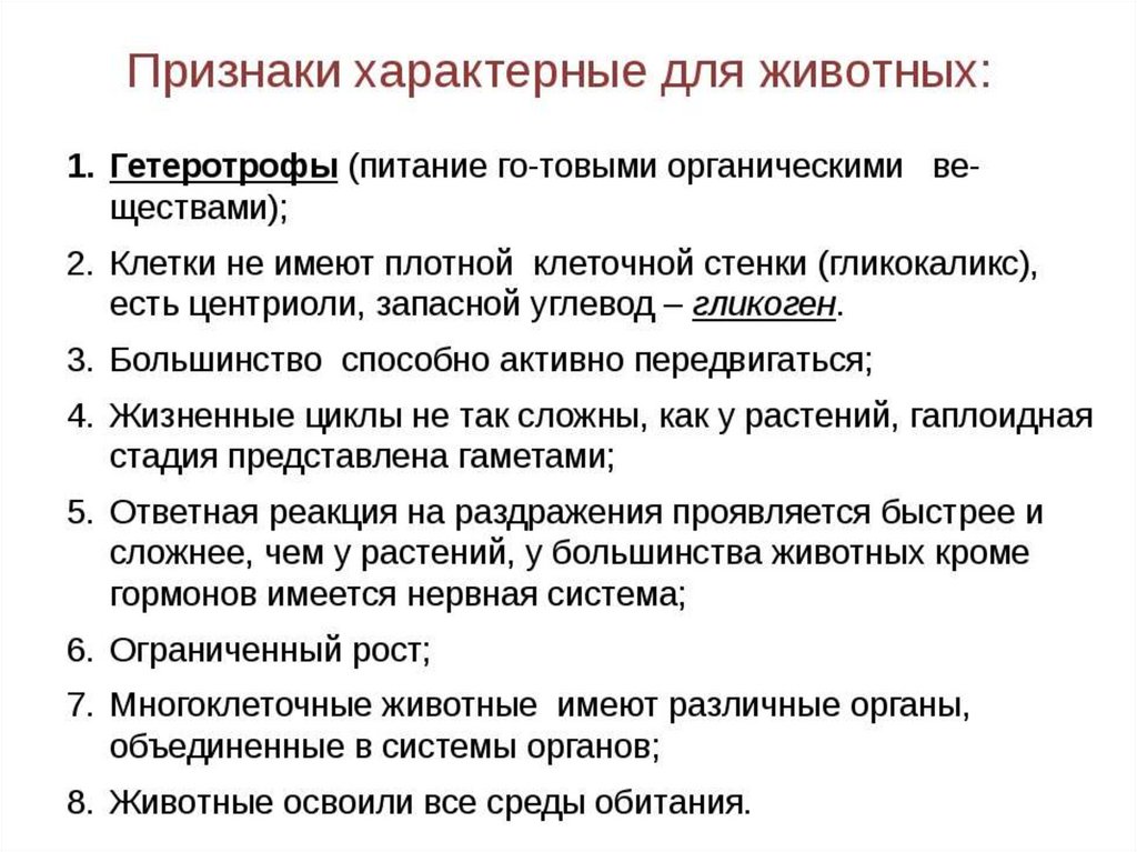 5 признаков животного. Перечислите основные признаки животных. Общие признаки царства животных. Отличительные особенности царства животных. Перечислите признаки характерные для животных.