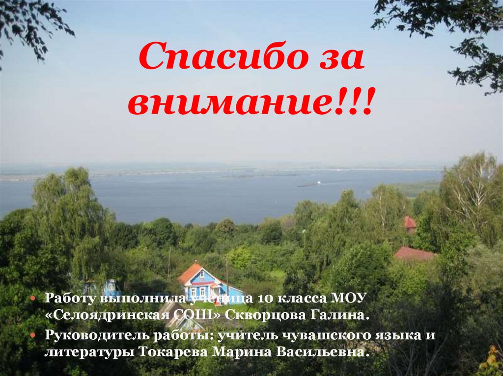 Спасибо за внимание!!!