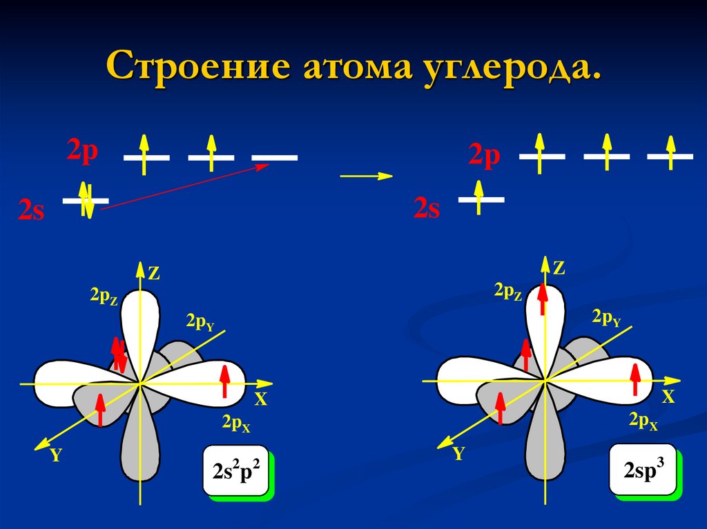 Строение атома углерода