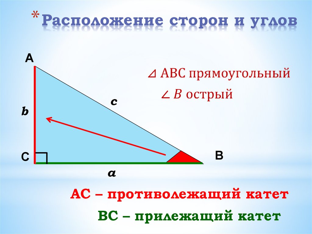 Соотношение между сторонами и углами прямоугольного треугольника. Синус острого угла рисунок. Тангенс внешнего угла в прямоугольном треугольнике. Синус любого острого угла. Что называют синусом угла прямоугольного треугольника