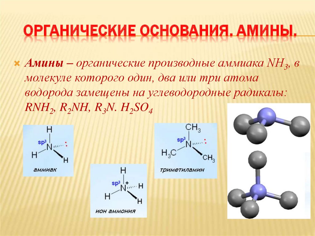 Основания органических веществ. Органические основания.