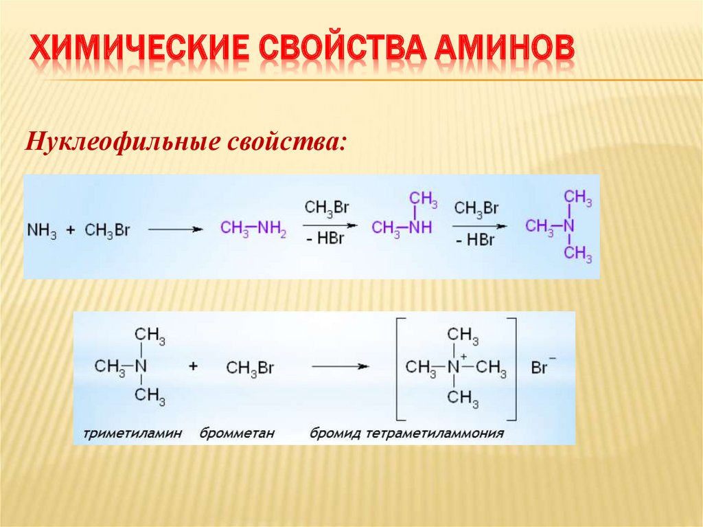 Химические свойства аминов