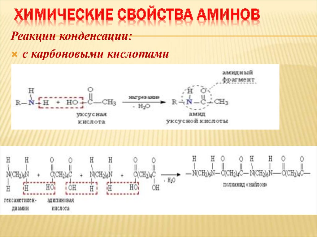 Химические свойства аминов. Химические свойства аминогруппы. Химические свойства Аминов с карбоновыми кислотами.