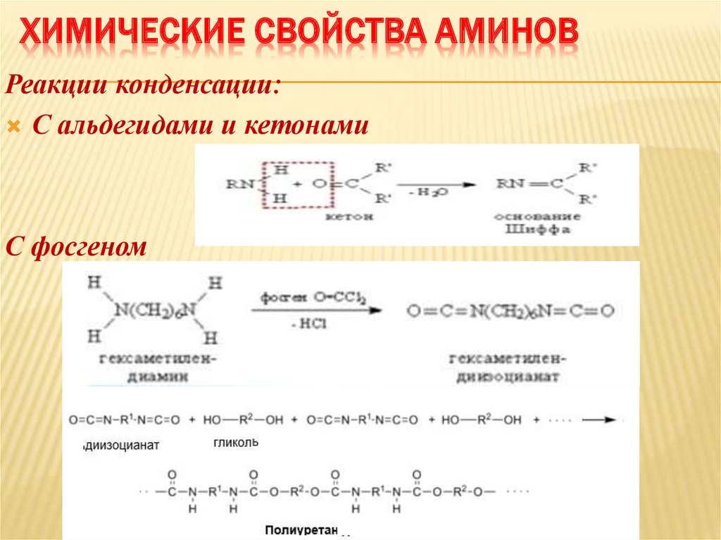 Химические свойства аминов