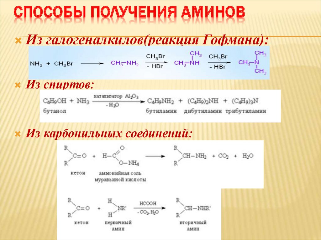 Получение аминов презентация