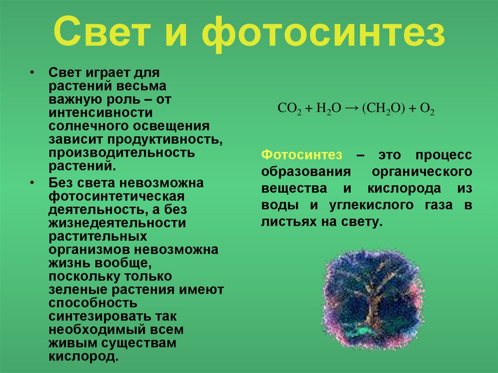 Повышение продуктивности фотосинтеза в искусственных экологических системах презентация