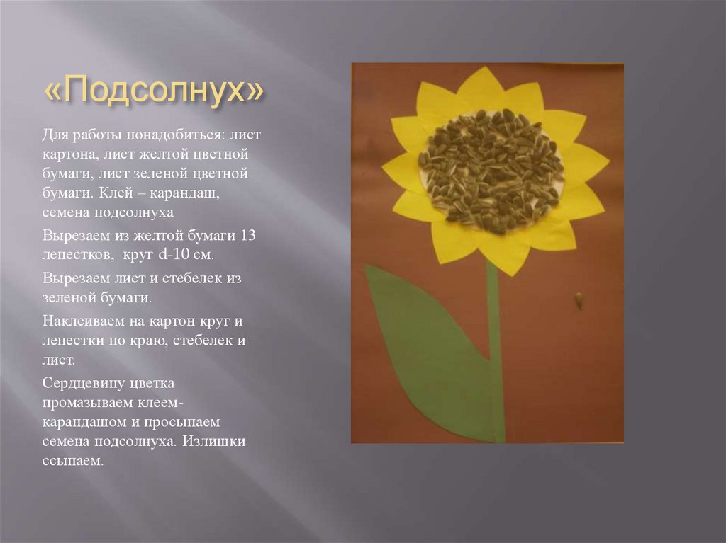 «Подсолнух»