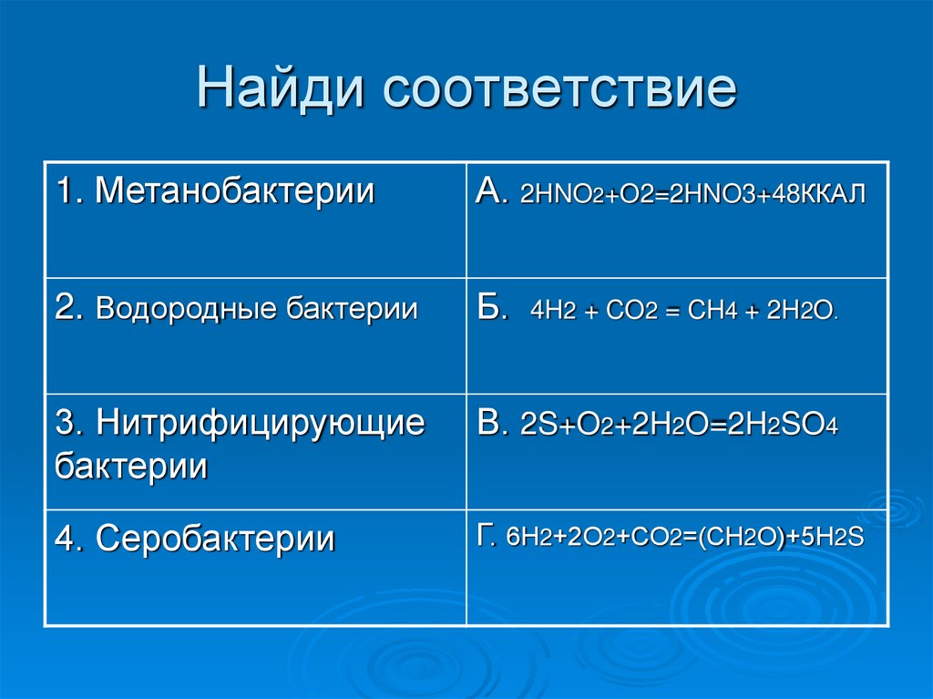 6 найдите соответствие