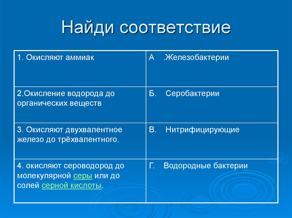 Найди соответствие 1. Окисление железобактерий. Роль железобактерий в природе. Водородные бактерии железобактерии. Найди соответствие биология.