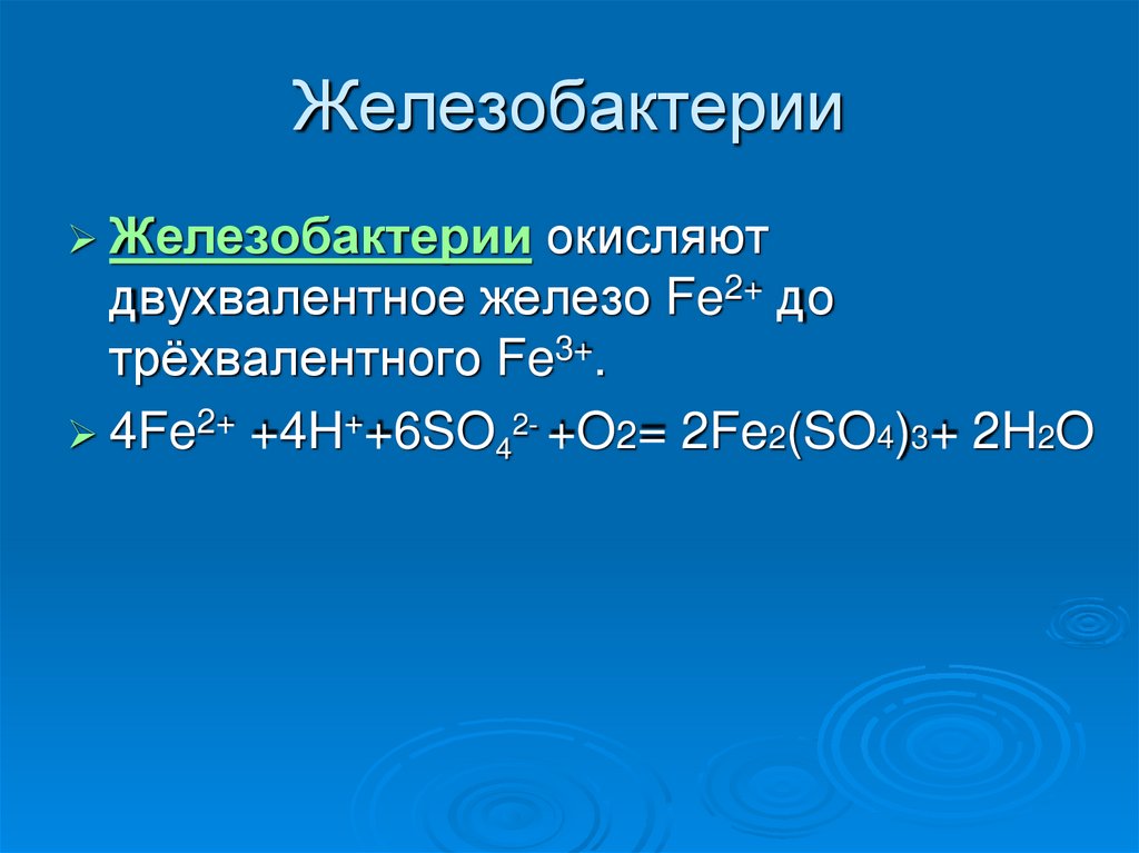 Двухвалентное железо. Железобактерии. Железобактерии окисляют. Железобактерии презентация. Хемосинтез железобактерии.