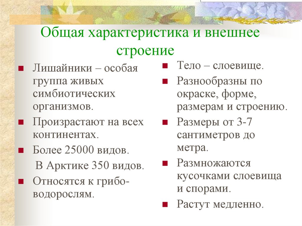 Лишайники общая характеристика и значение 7 класс презентация