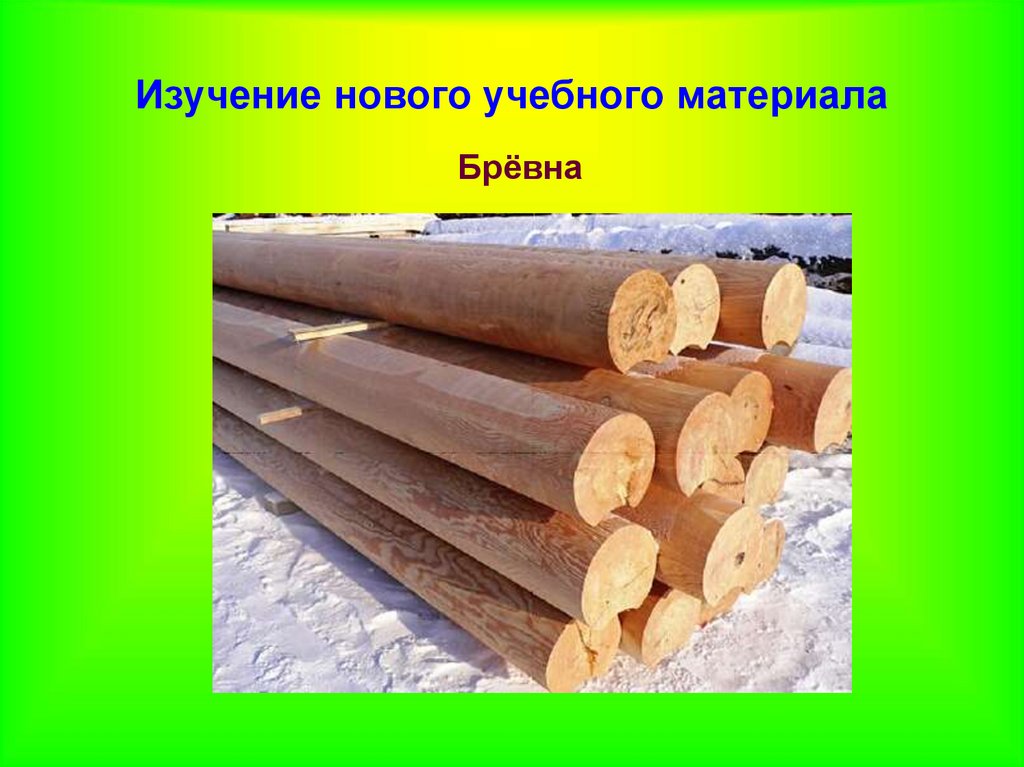 Проект по теме древесина