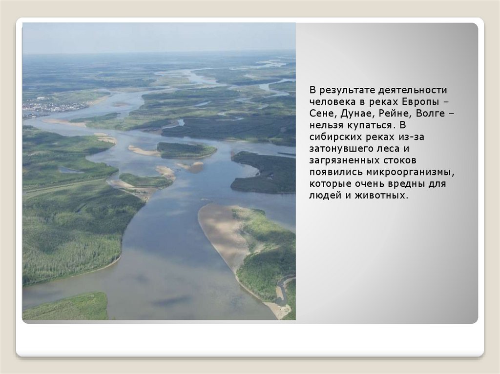 Как люди влияют на волгу. Деятельность человека в реках. Влияние человека на реку Волгу. Деятельность человека на Волге. Сообщение о реке Дунай.