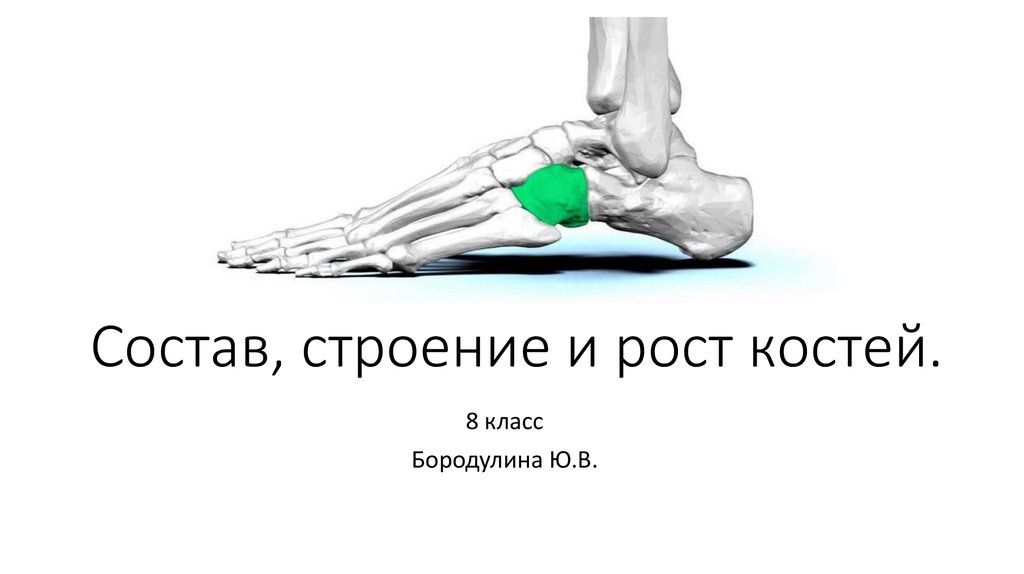 Закон вольфа кости рост. Кости для презентации. Ломание костей для роста.