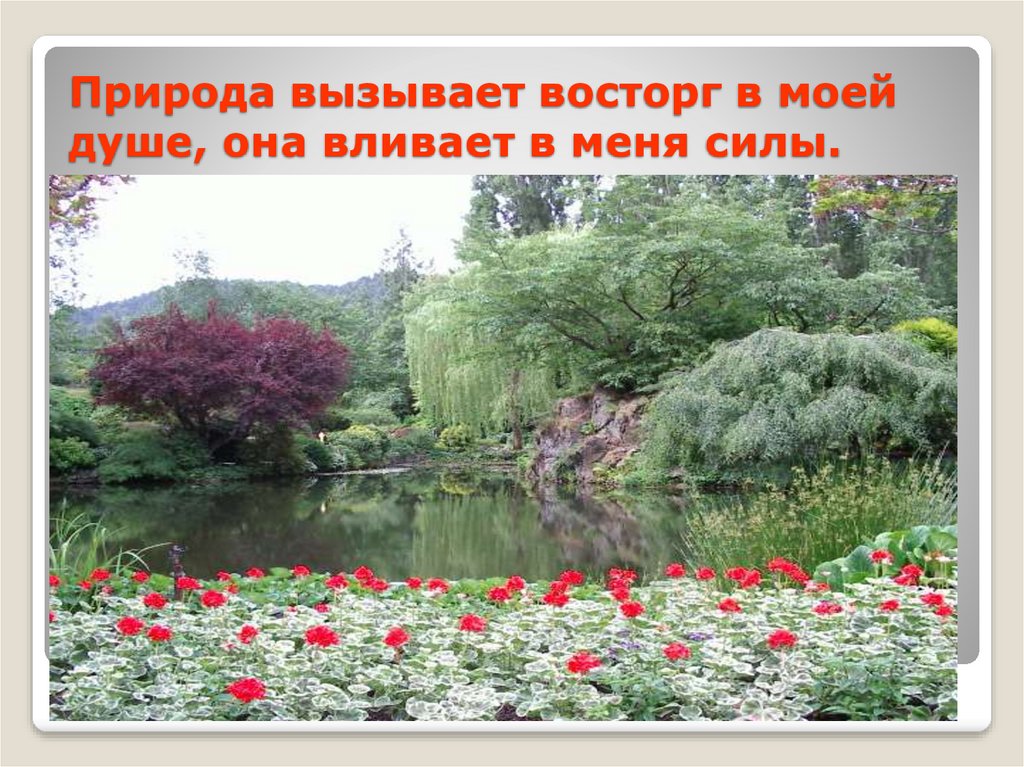 Природа вызывает восторг в моей душе, она вливает в меня силы.