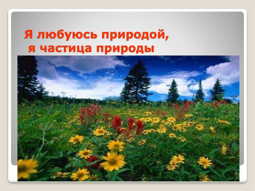 Я любуюсь природой, я частица природы