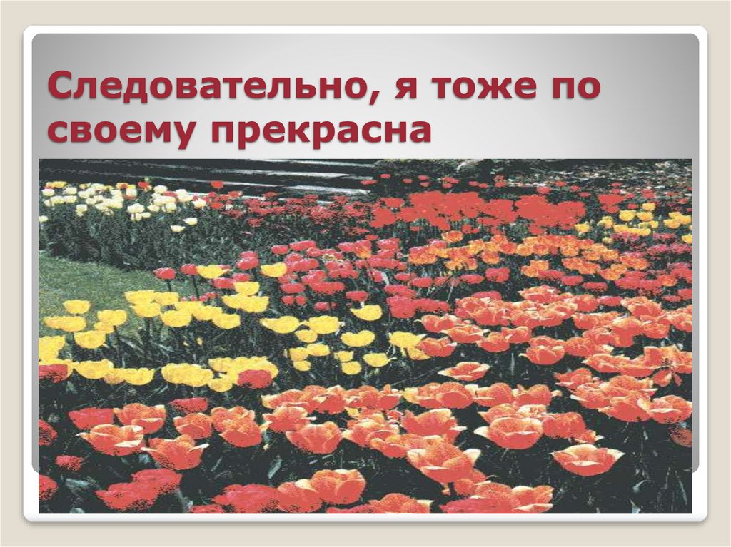 Следовательно, я тоже по своему прекрасна