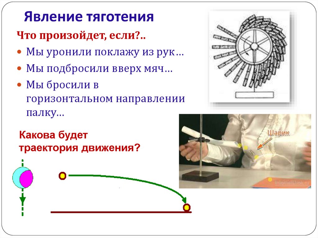 Явления тяготения сила тяжести 7 класс физика. Сила явление тяготения сила тяжести. Явление тяготения сила тяжести 7 класс. Явление тяготения сила тяжести 7 класс физика. Явление тяготения сила тяжести конспект.