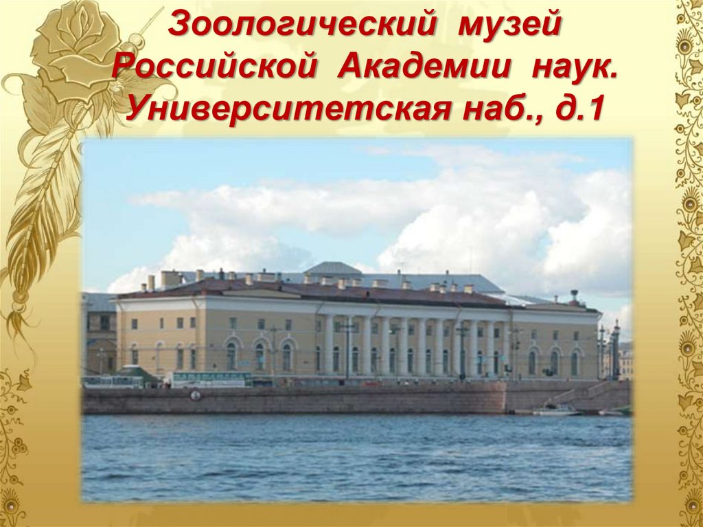 Санкт петербург центр российского образования и просвещения презентация