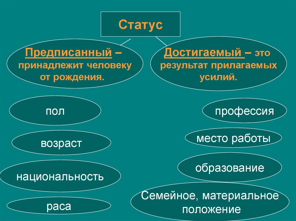 Социальный статус и социальная роль в обществе