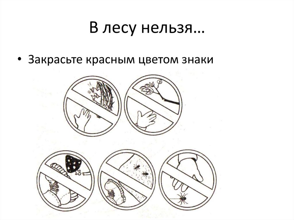 В лесу нельзя…