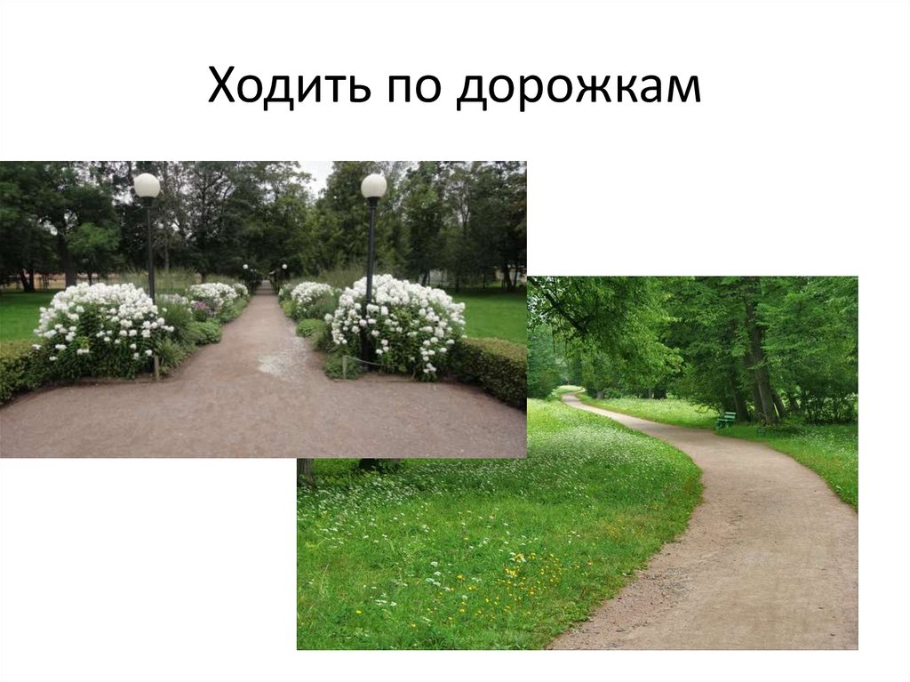 Ходить по дорожкам