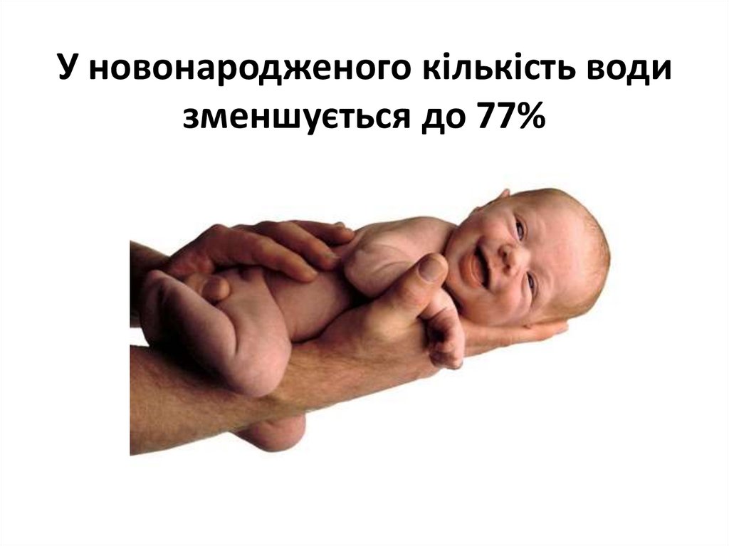 У новонародженого кількість води зменшується до 77%