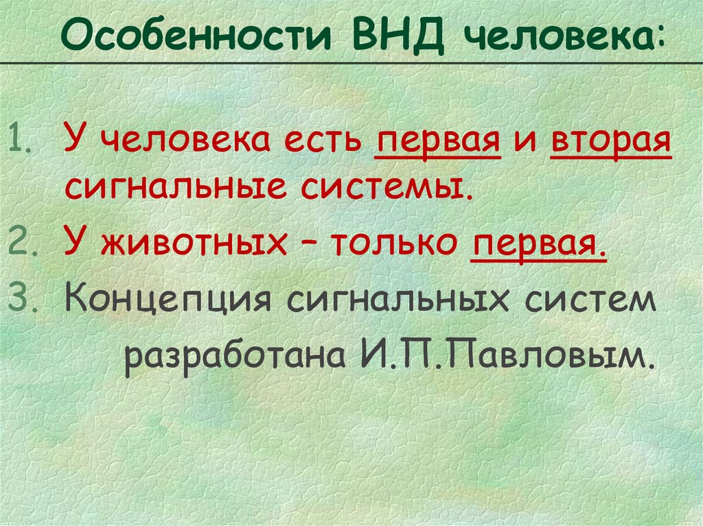 Хорошо развита только у человека сигнальная система