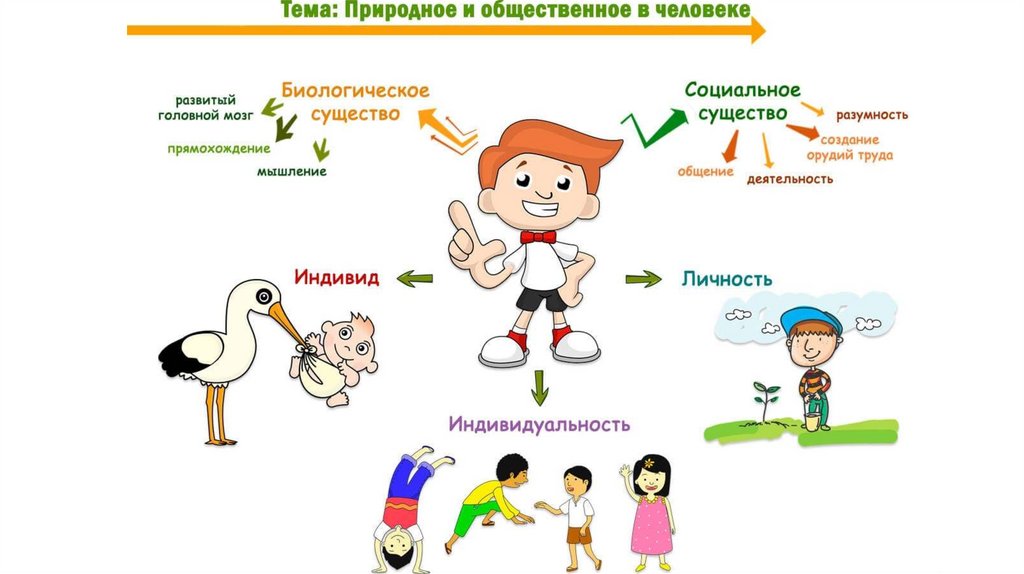 Природное и социальное в человеке презентация