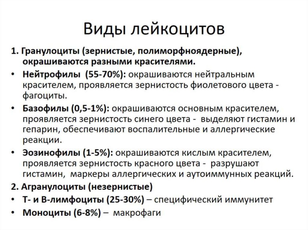 Виды лейкоцитов. Лейкоциты виды и функции. Синдром ленивых лейкоцитов Тип наследования. Виды лейкоцитозов по преобладанию отдельных.