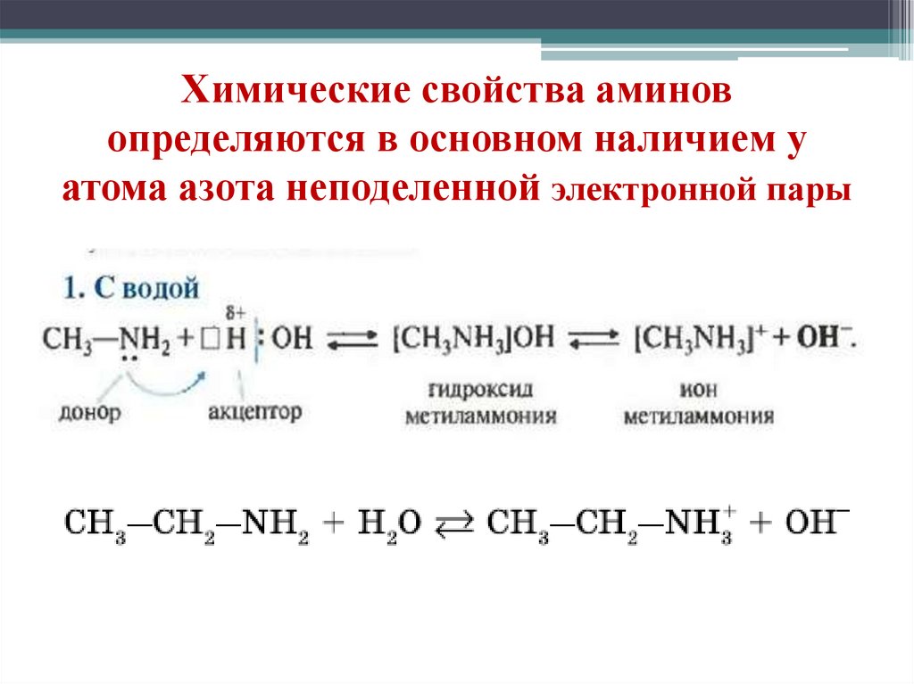 Химические свойства аминов определяются в основном наличием у атома азота неподеленной электронной пары