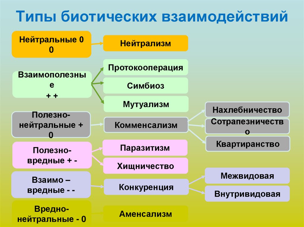 Группы биотических взаимодействий. Типы биотических взаимодействий. Типы биотические взаимоотношения. Типы биотических взаимоотношений. Типы биотических взаимоотношений таблица.