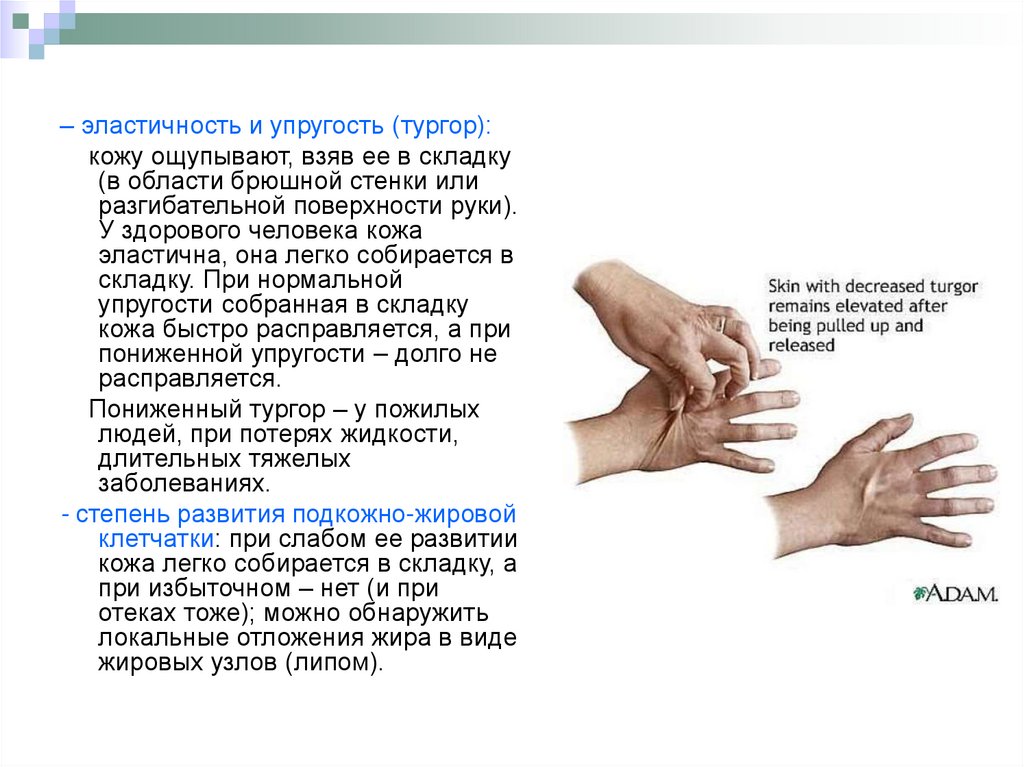 степень развития подкожно жировой клетчатки