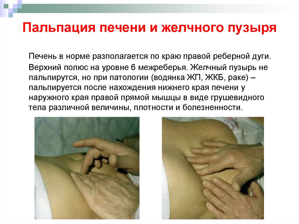 Пальпация печени и желчного пузыря
