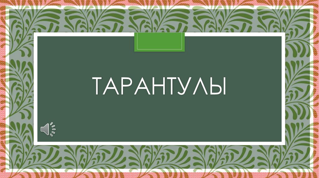 Тарантулы