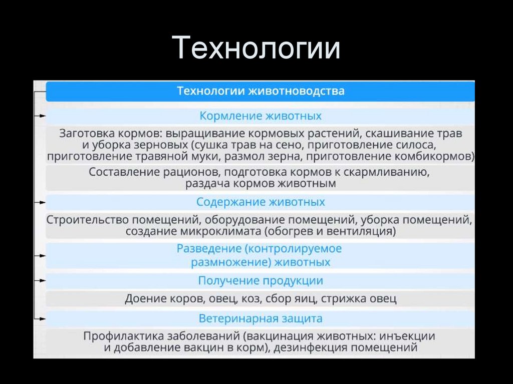 Животноводство как технология выращивания животных 6 класс презентация по технологии