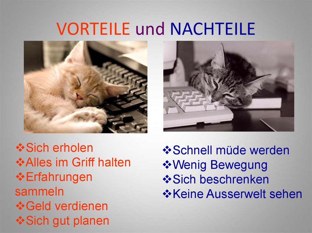 VORTEILE und NACHTEILE