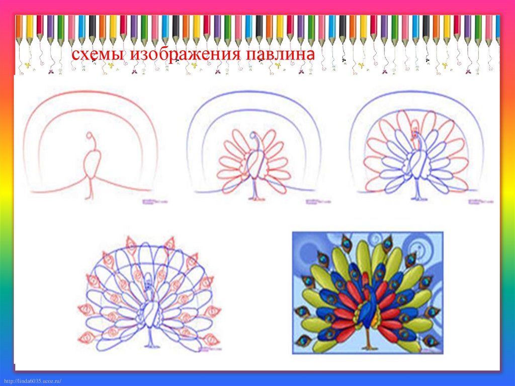 Урок изо 2 класс. Схема картинка. Павлин рисунок 2 класс изо. Изображения и реальность 2 класс изо Павлин. Изображение и реальность изо 2 класс.