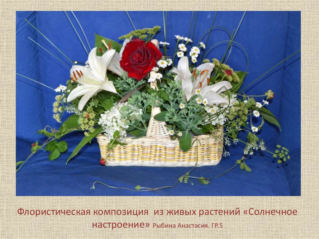 Флористическая композиция из живых растений «Солнечное настроение» Рыбина Анастасия. ГР.5