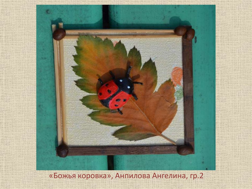 «Божья коровка», Анпилова Ангелина, гр.2