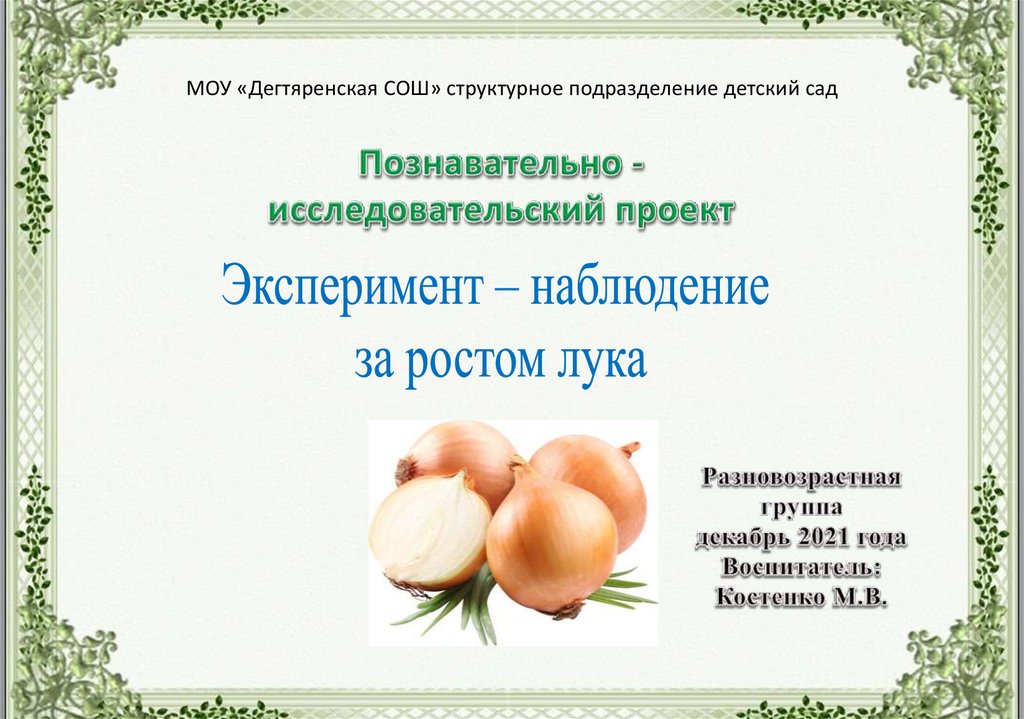 Наблюдение за ростом. Наблюдение за ростом лука. Наблюдение за ростом лука в детском саду. Презентация наблюдение за ростом лука. Эксперимент рост лука.