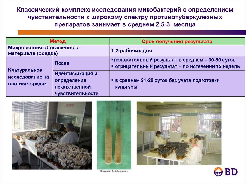 Комплекс исследования