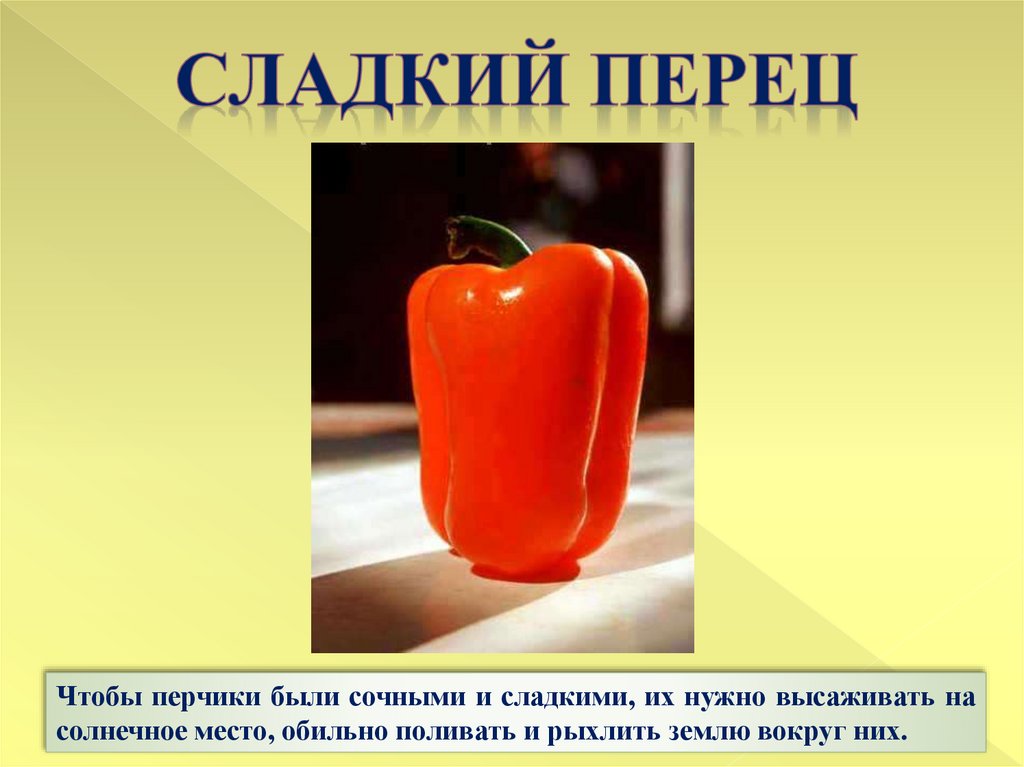 Сладкий перец